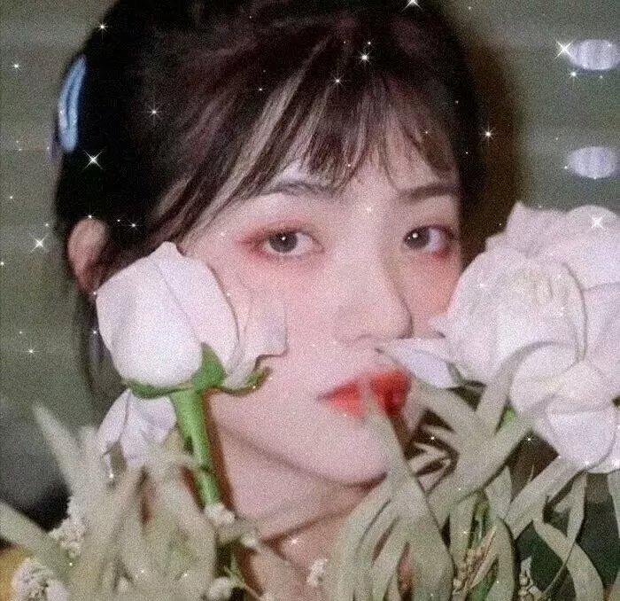 废柴联盟第六季