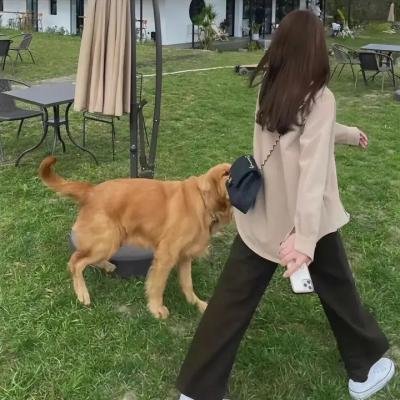 你的幸运日